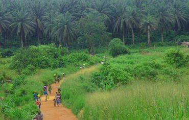 This photo of the road from Kenema to Kailahun District in Sierra Leone, Africa was taken by Lindsay Stark and is used courtesy of the Creative Commons Attribution 2.0 License. (http://commons.wikimedia.org/wiki/File:Kenema-Kailahun_Road.jpg)